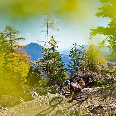 Pirkdorfer 酒店 3*